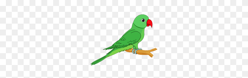 280x204 Parrot Png Images And Clipart Free Download - Parrot PNG