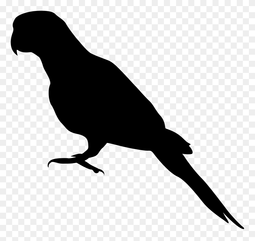 8000x7527 Parrot Png Silhouette Clip Art - PNG Silhouette