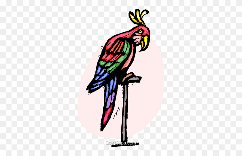 301x480 Parrot Royalty Free Vector Clip Art Illustration - Parrot Clipart