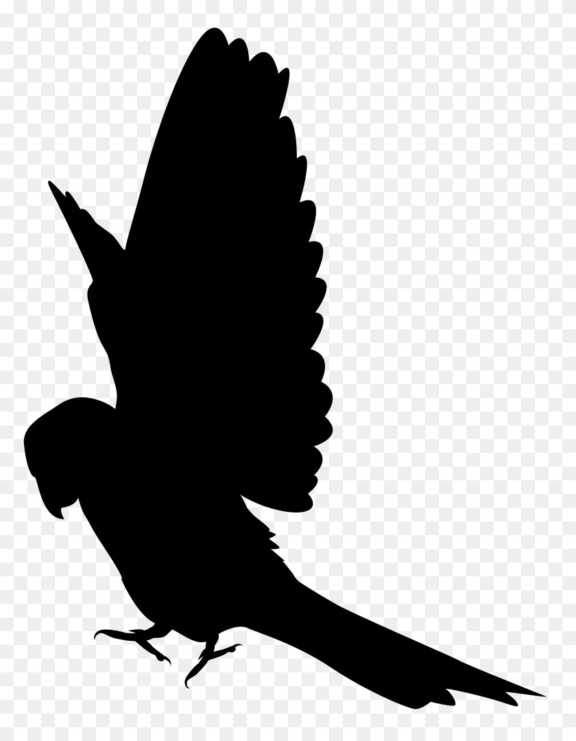 6117x8000 Parrot Silhouette Clip Art Png - Feather Silhouette PNG