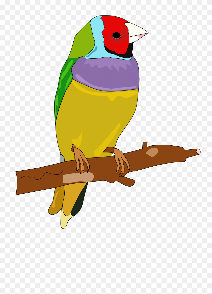 1697x2400 Parrot Toy Cliparts - Budgie Clipart