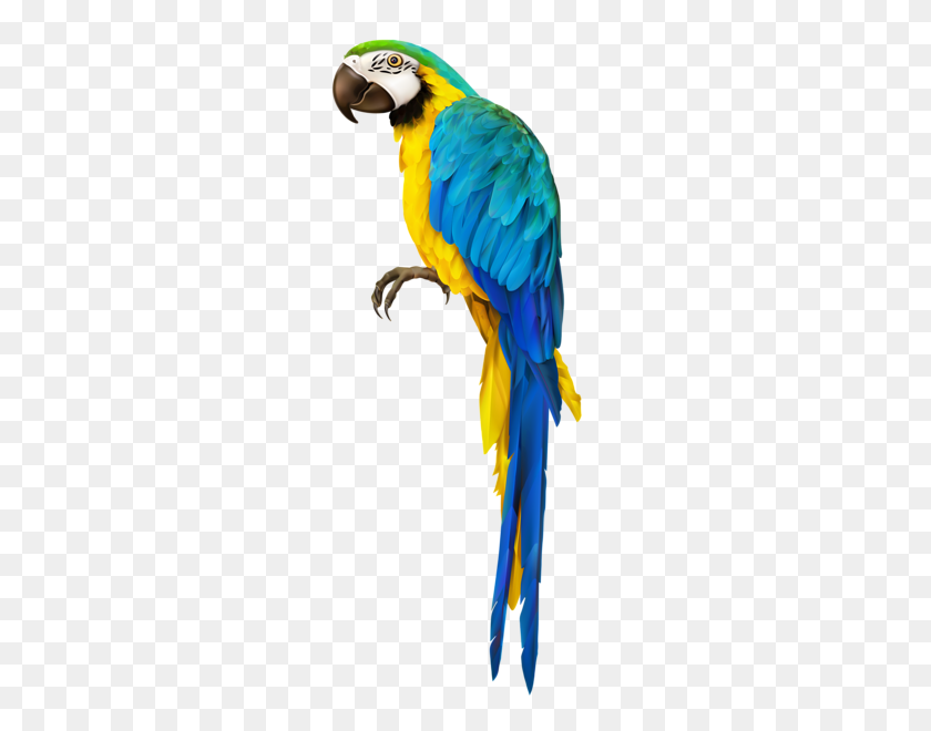 251x600 Parrot Transparent Clip Art Image Crafty - Cockatoo Clipart