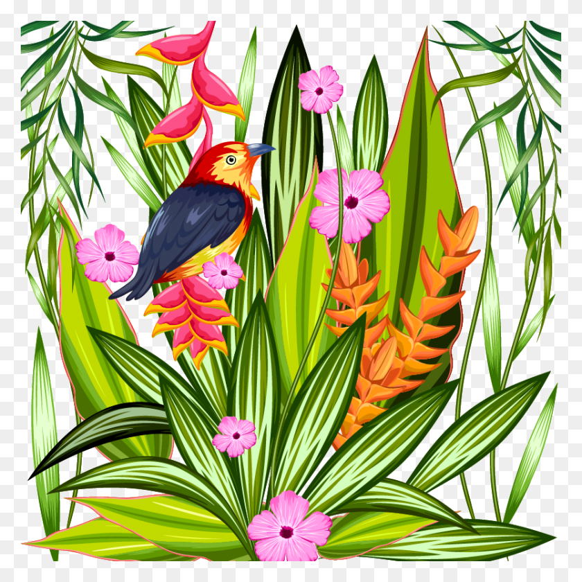 833x833 Попугай Тропиков Тропических Лесов Иллюстрации - Джунгли Растения Png