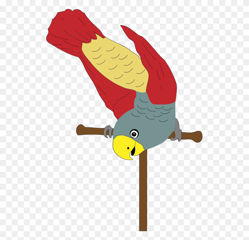527x750 Parrot Yellow Perch Computer Icons Bird Download - Quetzal Clipart