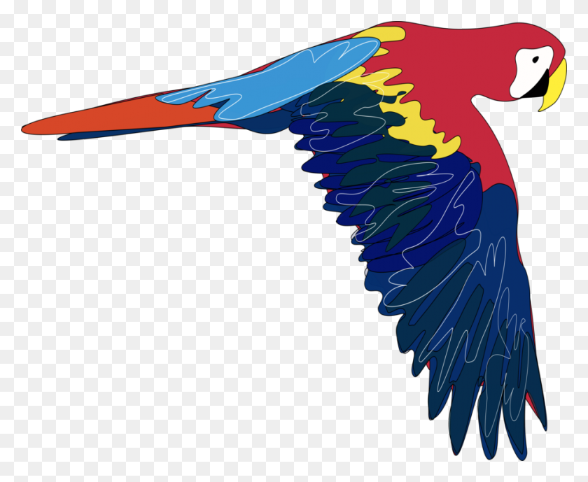 929x750 Parrots Bird Blue And Yellow Macaw - Parakeet Clipart