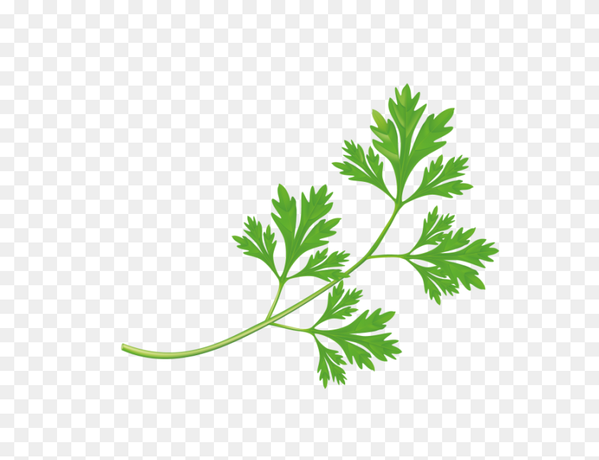 866x650 Parsley Png Transparent Image - Parsley PNG