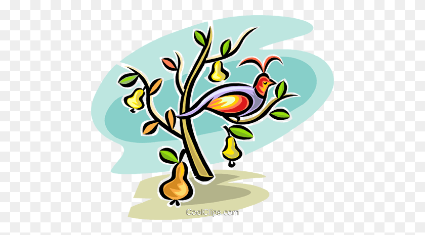 480x405 Partridge In A Pear Tree Royalty Free Vector Clip Art Illustration - Pear Tree Clipart