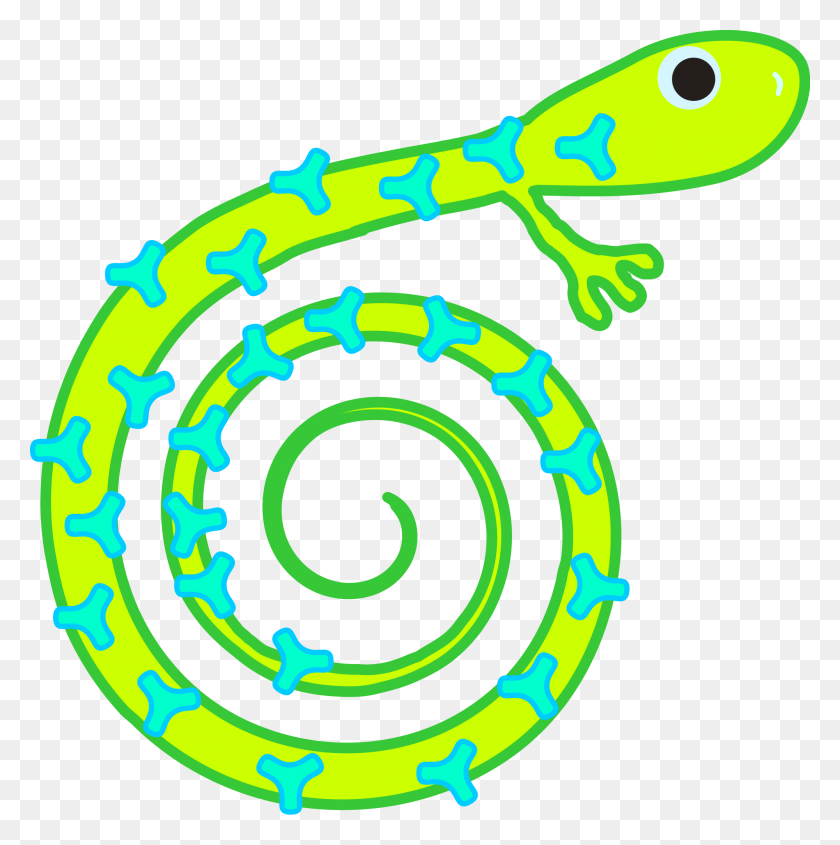 2000x2013 Patterned Reptile - Reptile Clipart