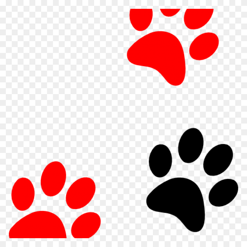 1024x1024 Paw Print Clip Art Blackred At Clker Vector Online Free - Camping Clipart PNG