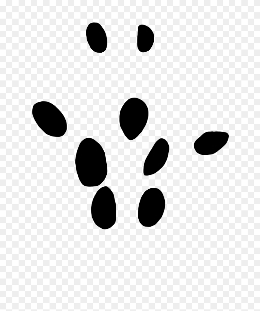 677x945 Paw Prints Clipart - Football Field Clipart Black And White