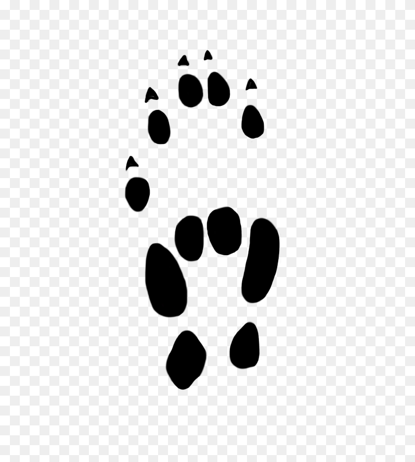 442x874 Paw Prints Clipart - Footprints PNG