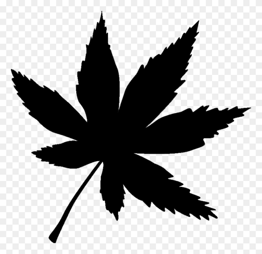 800x774 Pbp Fayette Om Leaf Silhouette Halloween - Marijuana Plant PNG