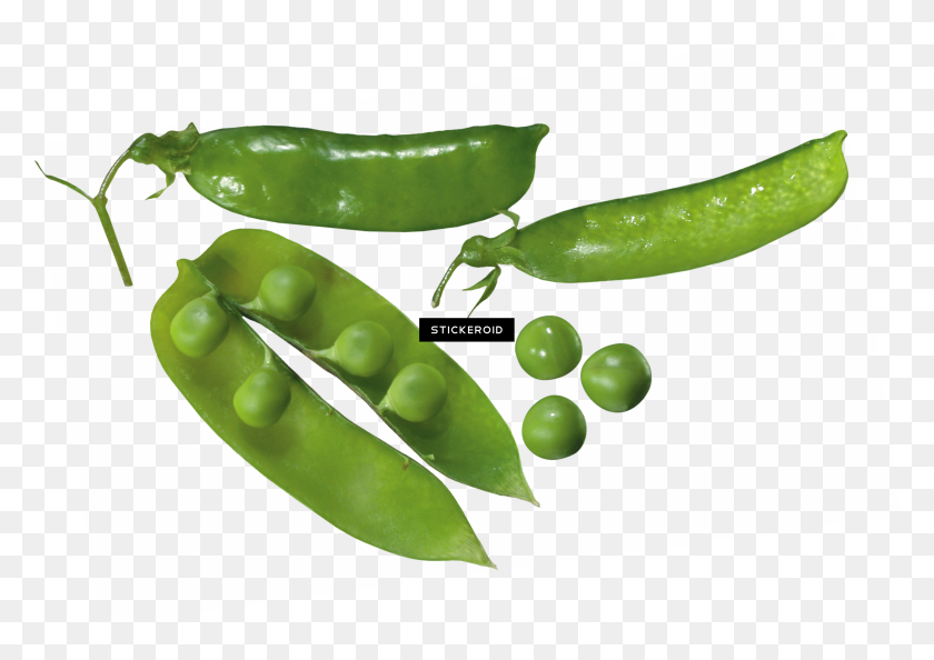 3283x2251 Pea - Pea PNG