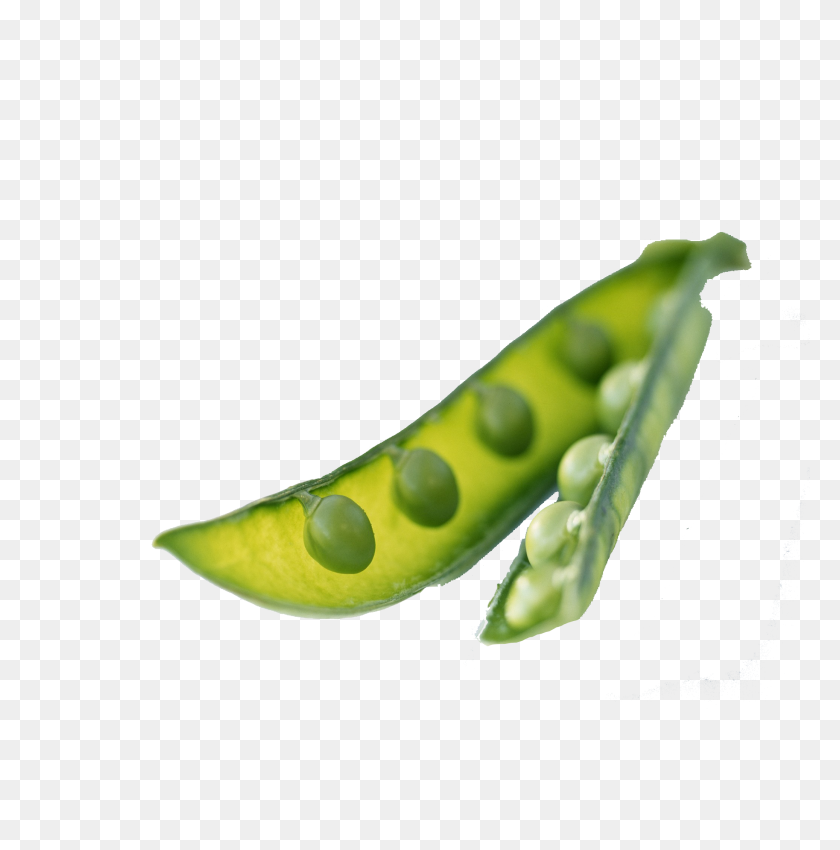 2073x2100 Pea Png Background Image - Pea PNG