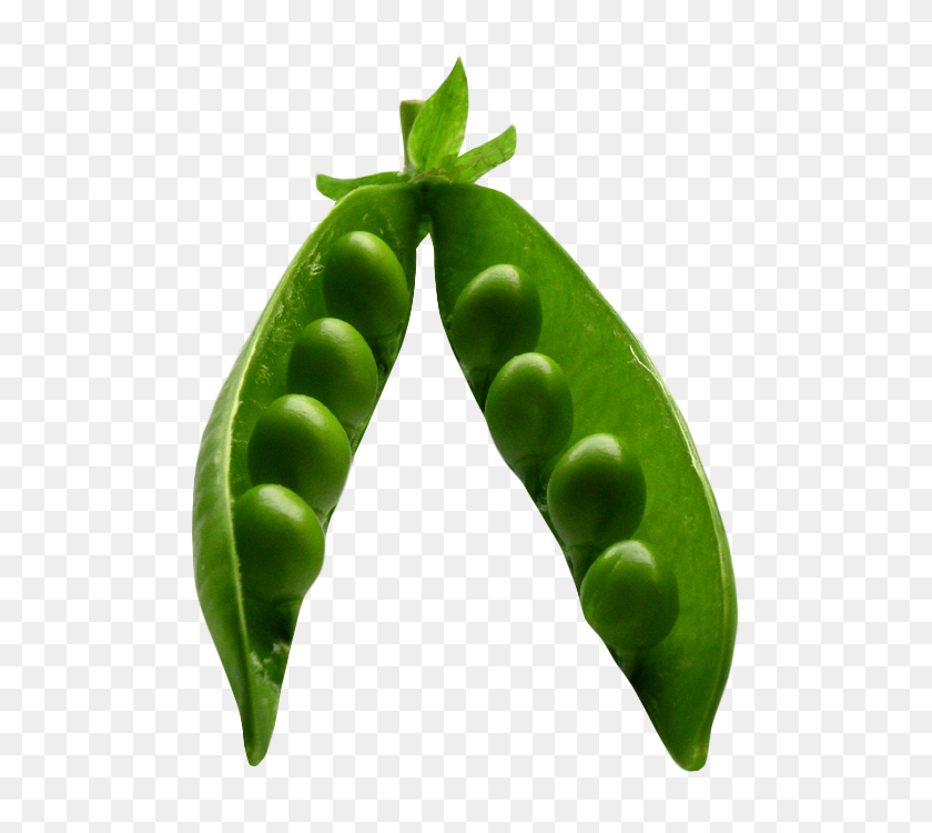 566x690 Pea Png Image Png Transparent Best Stock Photos - Vegetables PNG