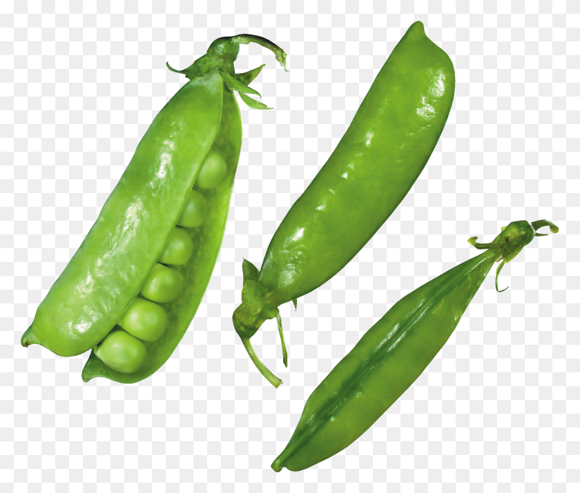 3049x2561 Pea Png Images Free Download - Pea PNG