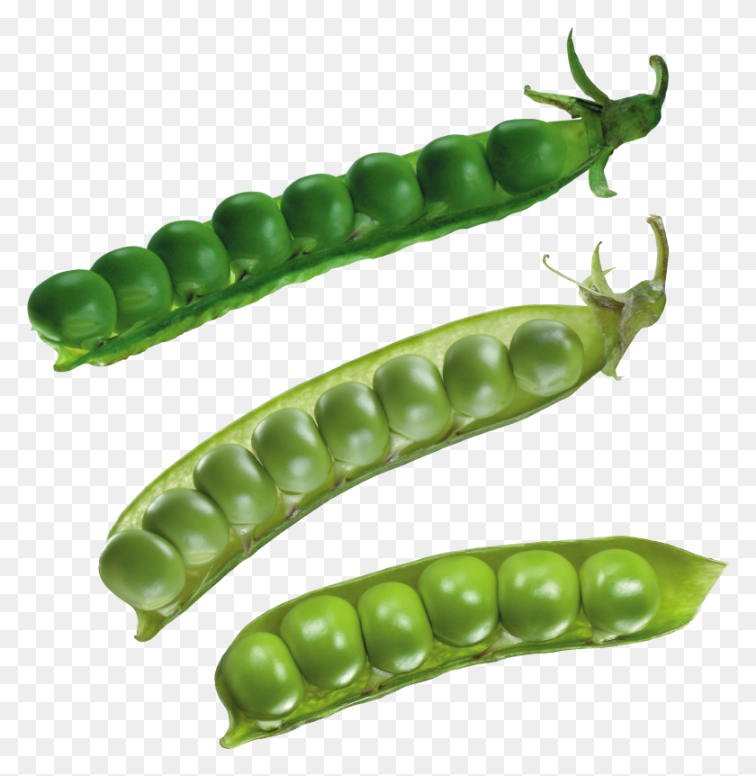 3368x3463 Pea Png Images Free Download - Peas PNG