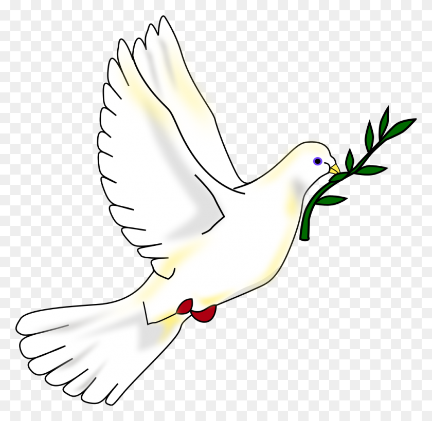 1000x975 Peace Dove - White Dove PNG