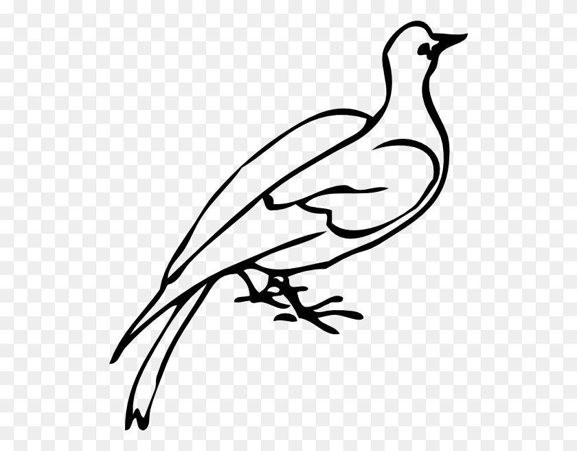 522x596 Peace Dove With Olive Branch - Dove With Olive Branch Clip Art