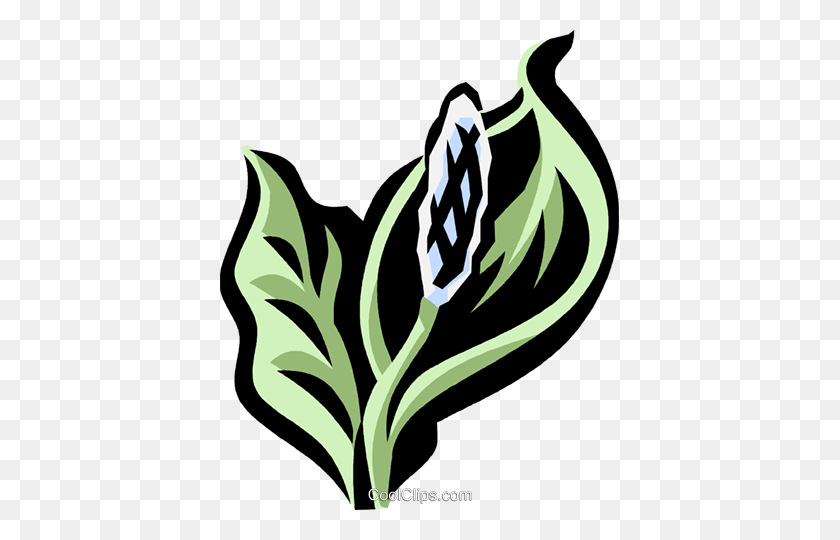 399x480 Peace Lily Royalty Free Vector Clip Art Illustration - Lily Flower Clipart
