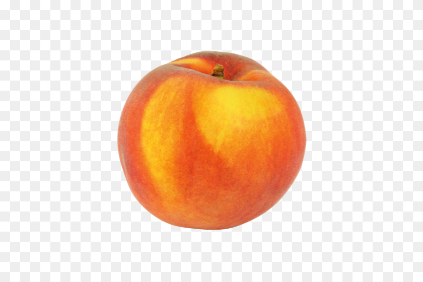 500x500 Peach - Peach PNG