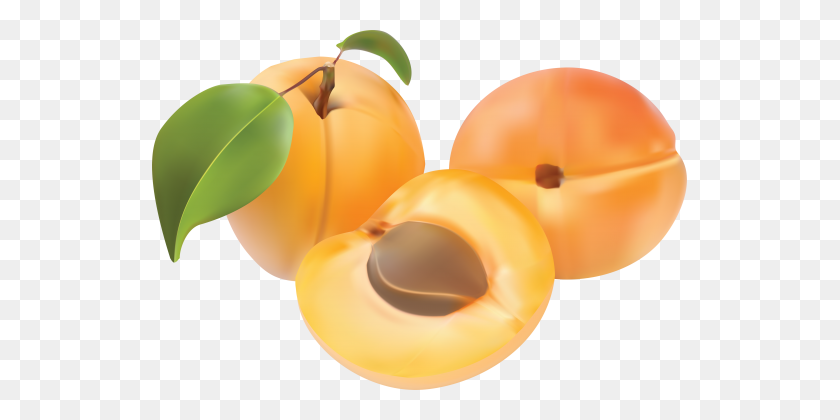 535x360 Peach - Peaches PNG