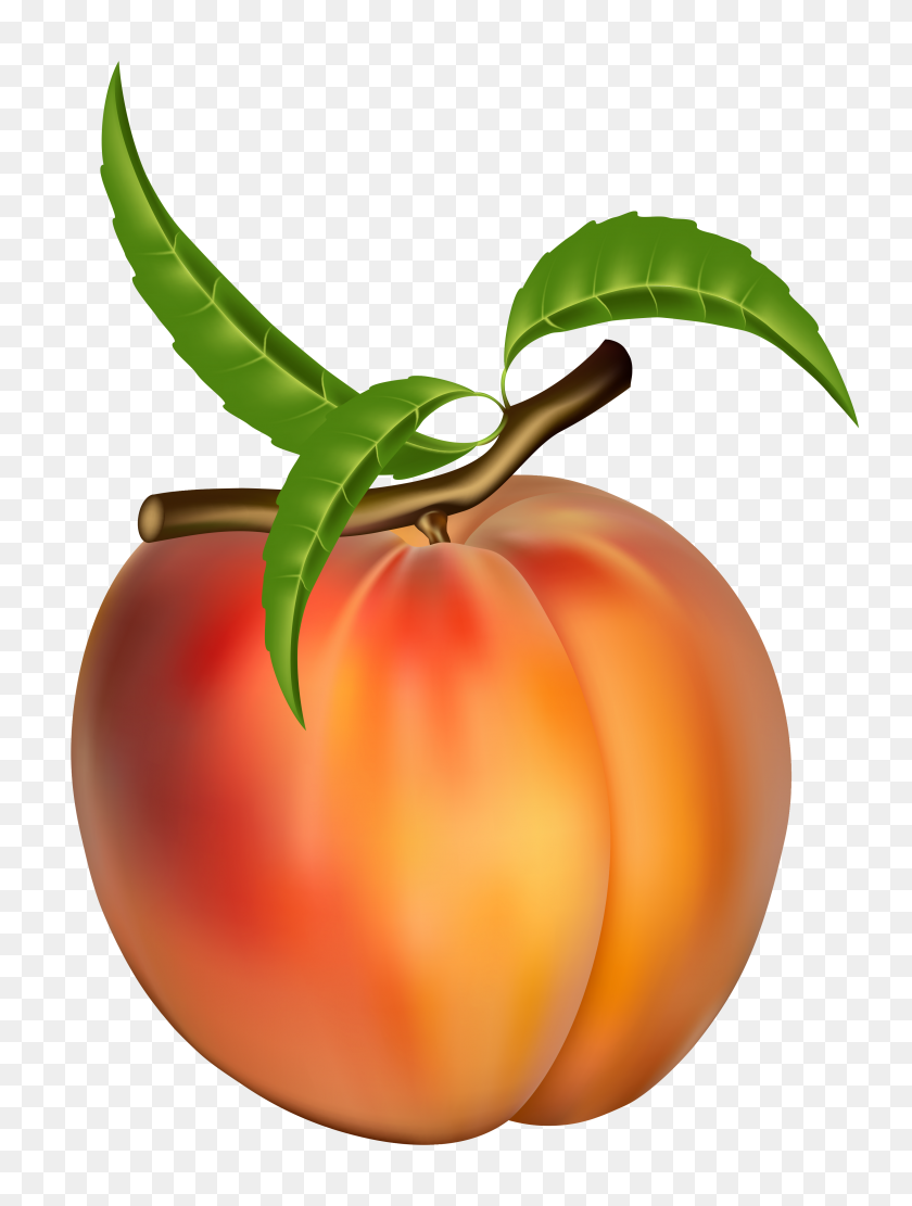 3222x4344 Peach Clip Art - Cherry Tomato Clipart