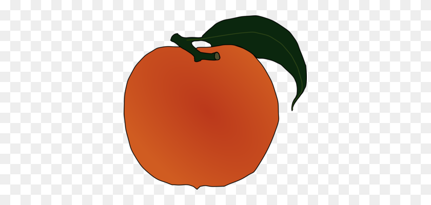 357x340 Peach Computer Icons Fruit Download Food - Princess Poppy Clipart