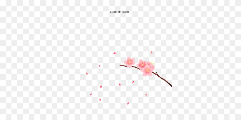 360x360 Peach Flowers Png, Vectors, And Clipart For Free Download - Cherry Blossom Branch PNG