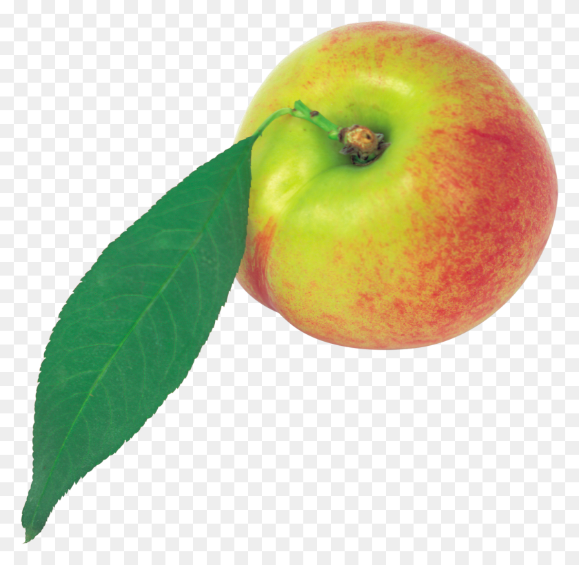 1286x1254 Peach Png Image - Peaches PNG