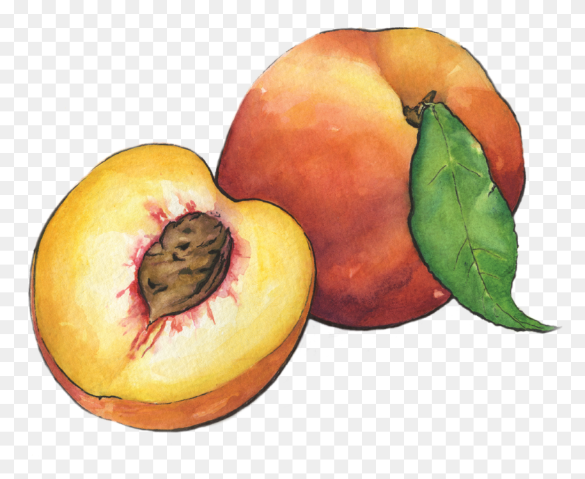 1024x825 Peaches - Peaches PNG