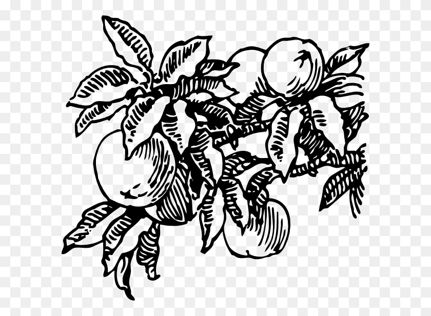 600x556 Peaches Clipart Png For Web - Peaches PNG