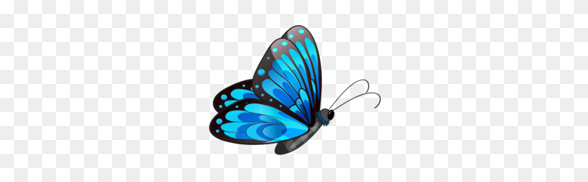 260x200 Peacock Butterfly Clipart - Peacock Clipart Free