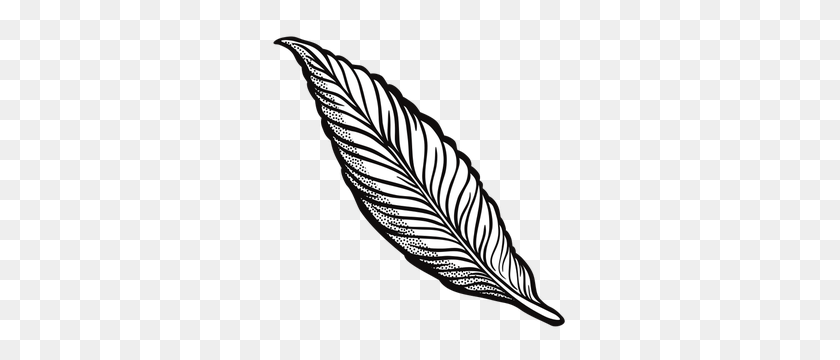 300x300 Peacock Feather Clip Art Free - Pen Black And White Clipart