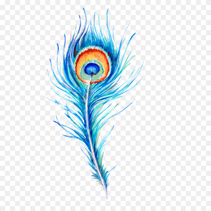 1024x1024 Peacock Feather Hand Drawn Illustration Free Png Download Png - Feather Vector PNG