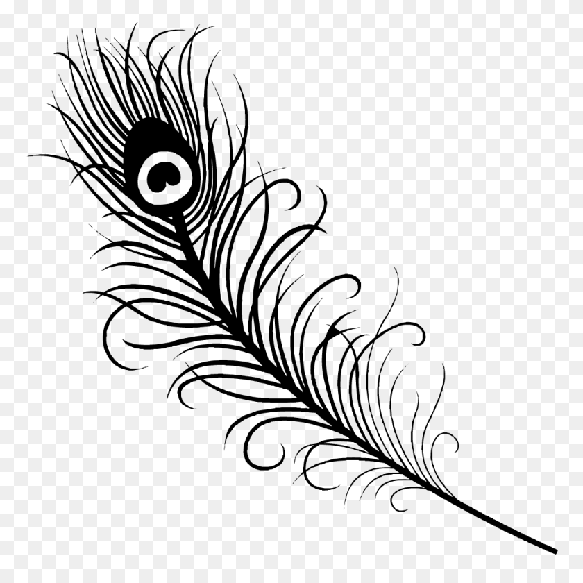 1087x1087 Peacock Feather Silhouette - Quill Pen Clipart
