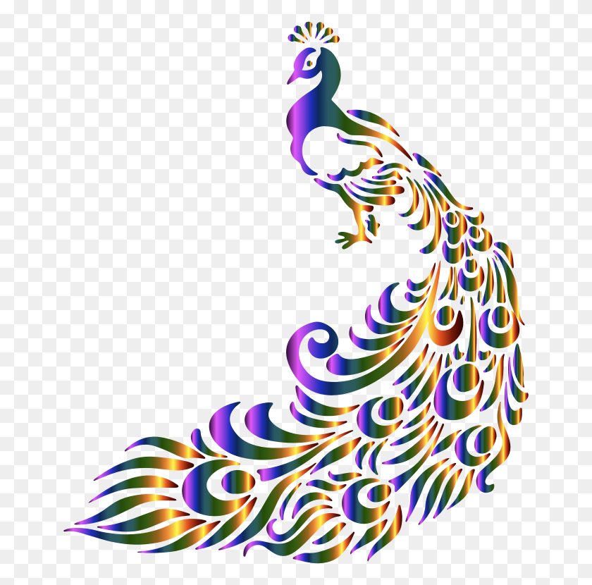 660x770 Pavo Real Png