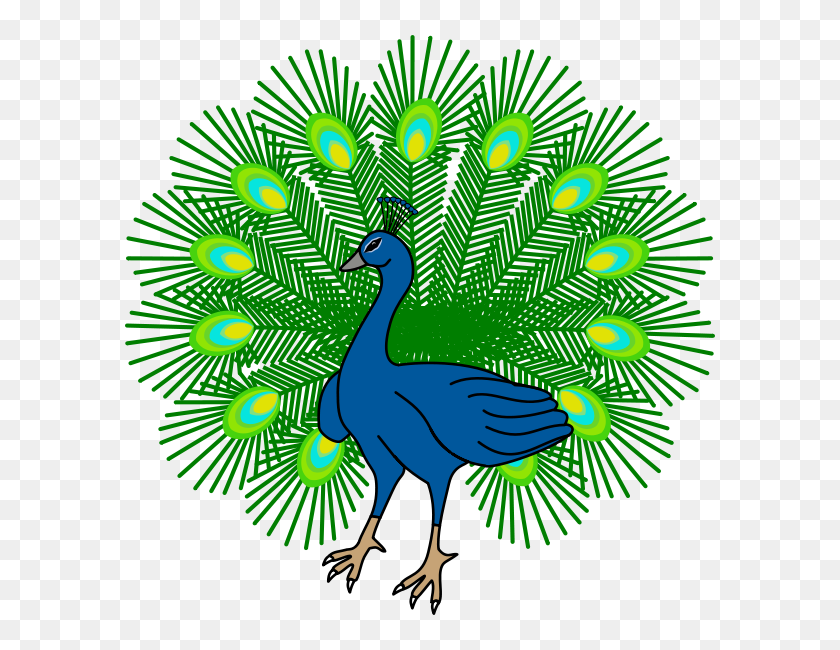 600x590 Peacock Transparent Png Pictures - Peacock PNG