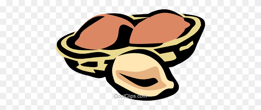 480x295 Peanut In Half Shell Royalty Free Vector Clip Art Illustration - Shell Clipart