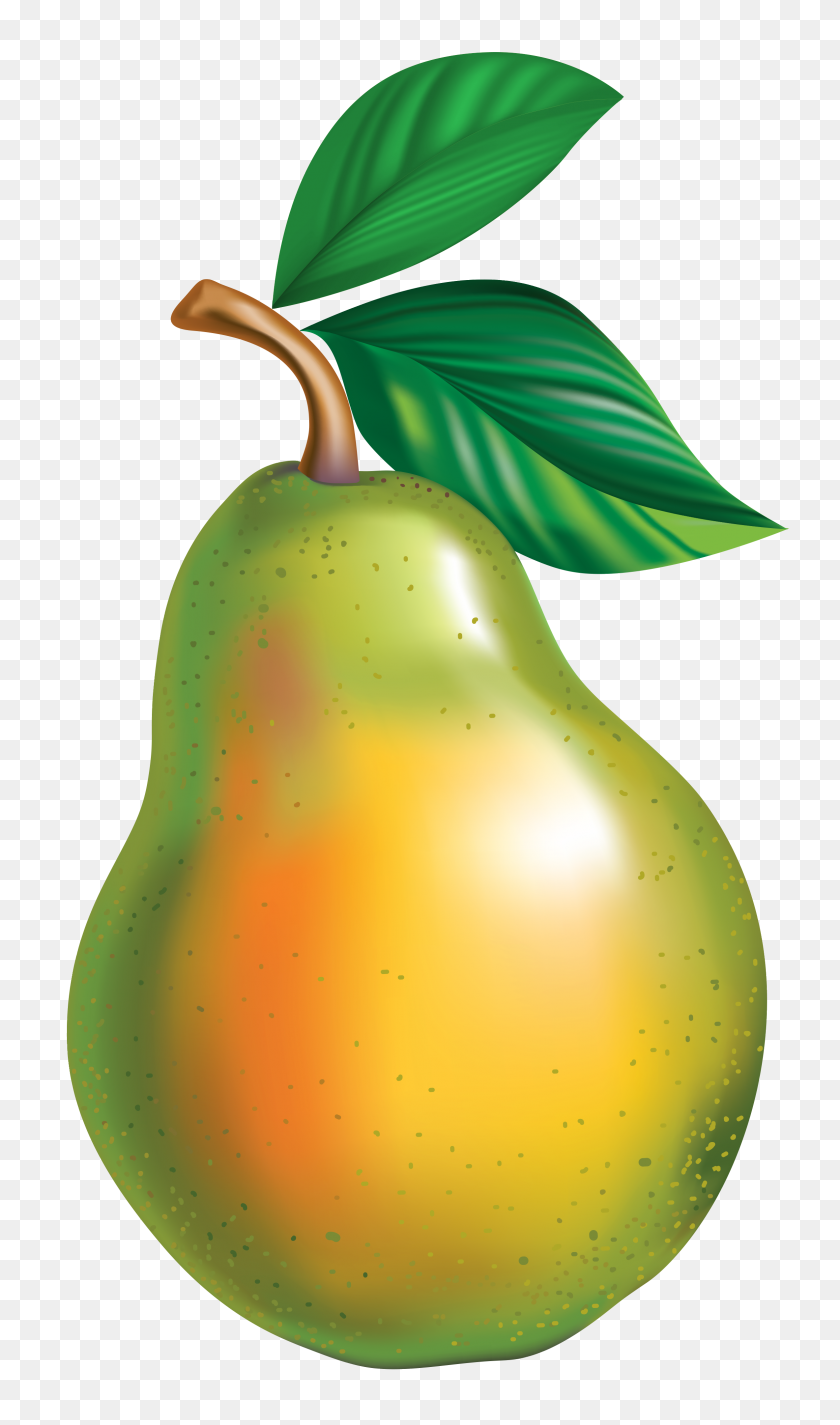 2367x4144 Pear Png Clipart - Pear PNG