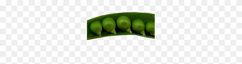 235x165 Peas In A Pod Png Image Png Transparent Best Stock Photos - Peas PNG