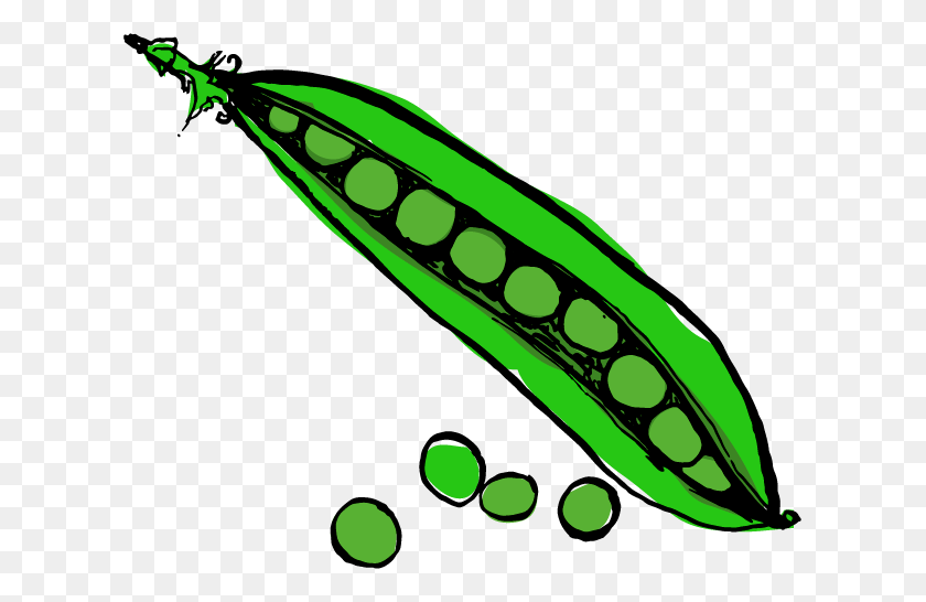 615x486 Peas In Pod - Peas PNG