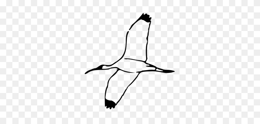 309x340 Pelican Bird Drawing Goose Cartoon - Pelican Clip Art