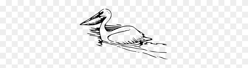 300x172 Pelican Clip Art - Pelican Clipart Black And White