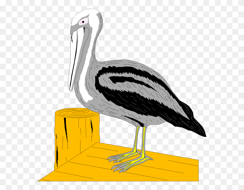 582x597 Pelican On Dock Clip Art - Dock Clipart