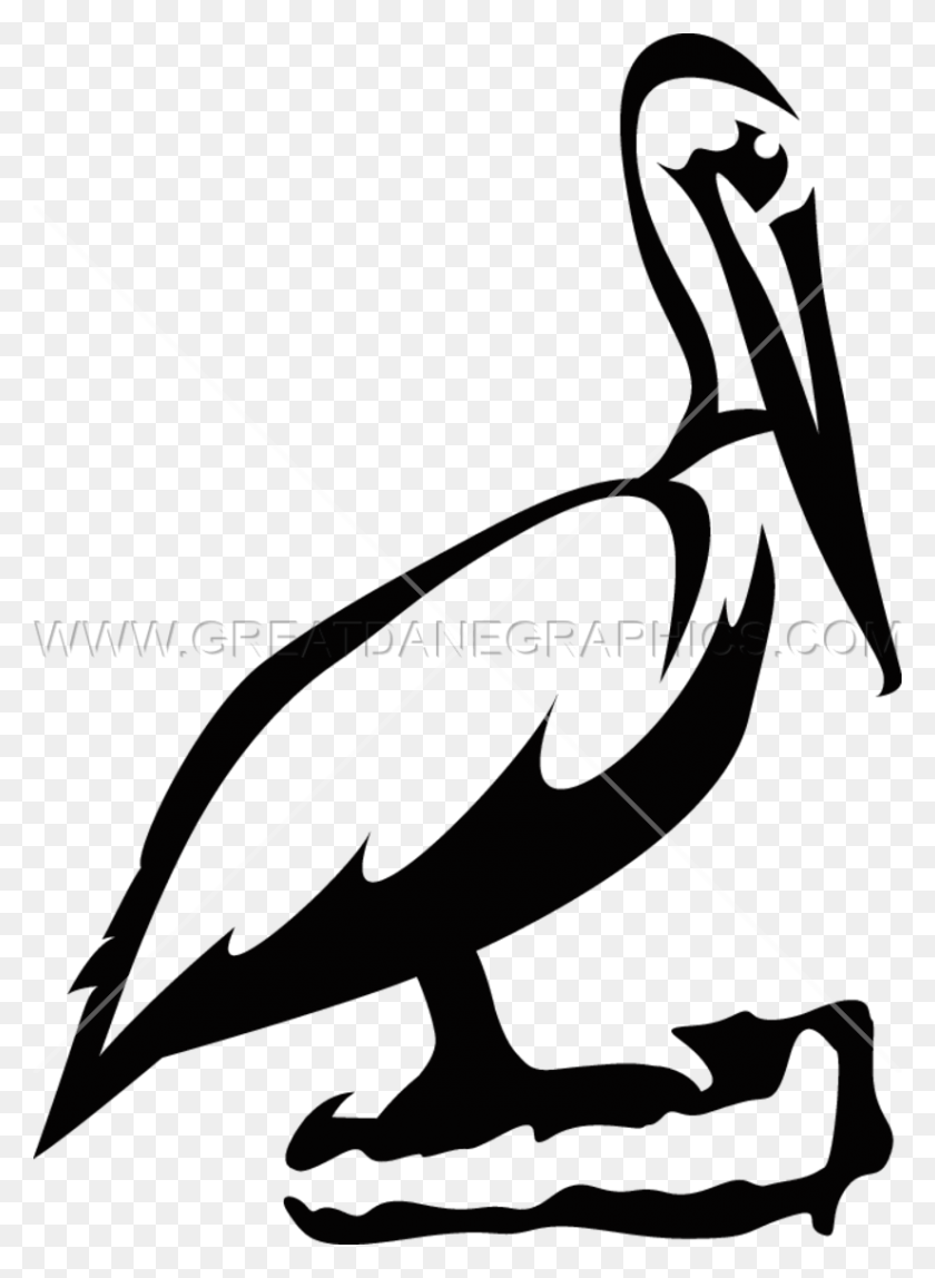 825x1151 Готовые Изображения Для Печати На Футболках Pelican Pixels - Pelican Clip Art