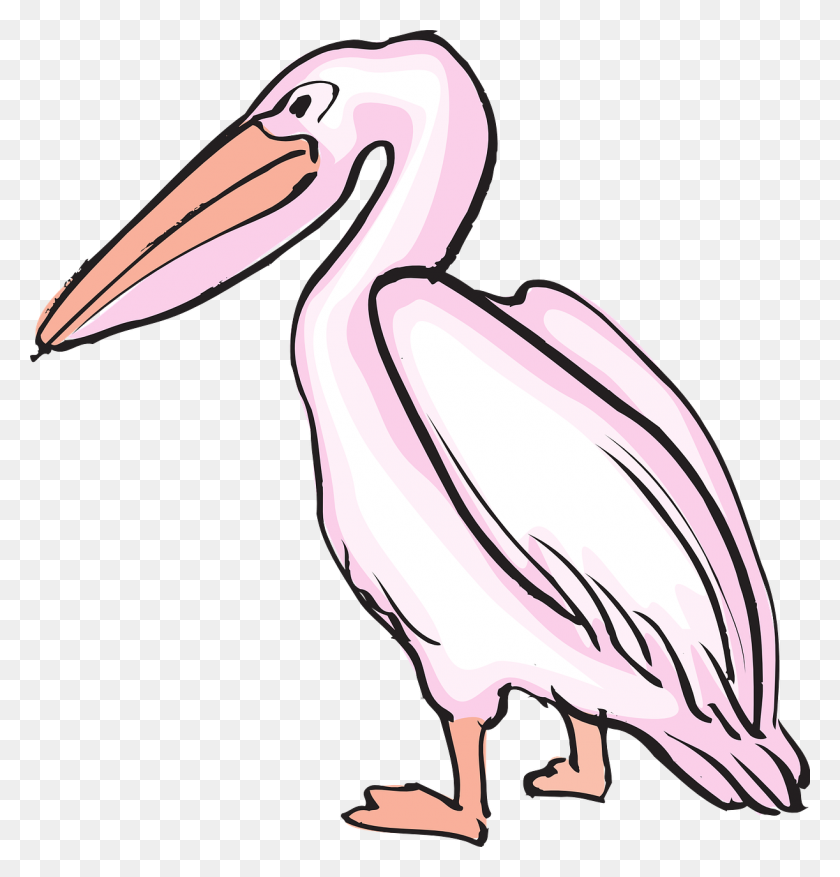 1222x1280 Pelican Png Transparent Images Image Group - Pelican Clipart Black And White