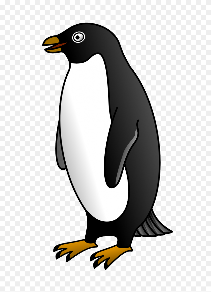 800x1131 Penguin Png Image Download Clipart - Penguin PNG