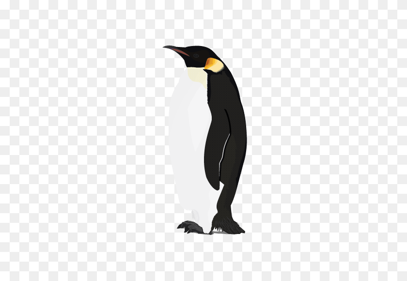 600x520 Пингвин Png Изображения - Пингвин Png