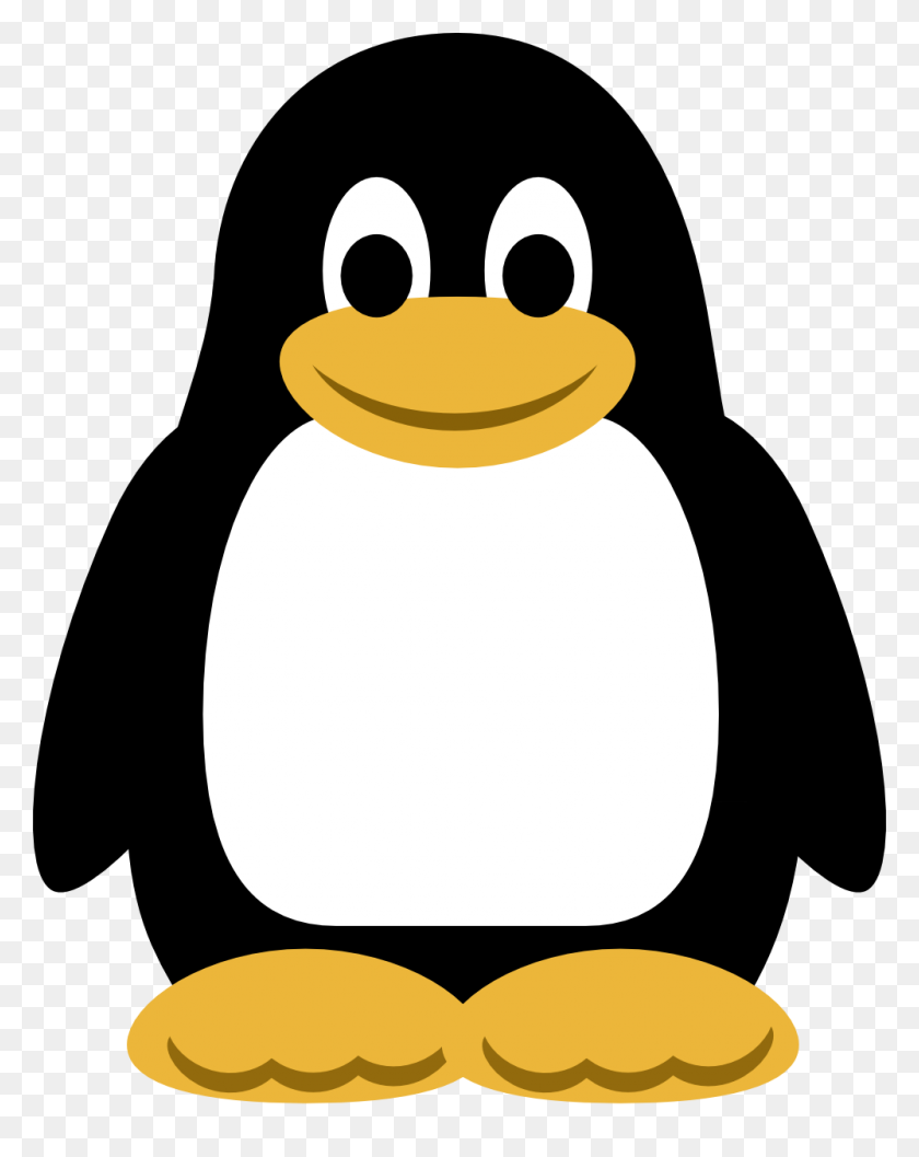999x1278 Pingüino Png